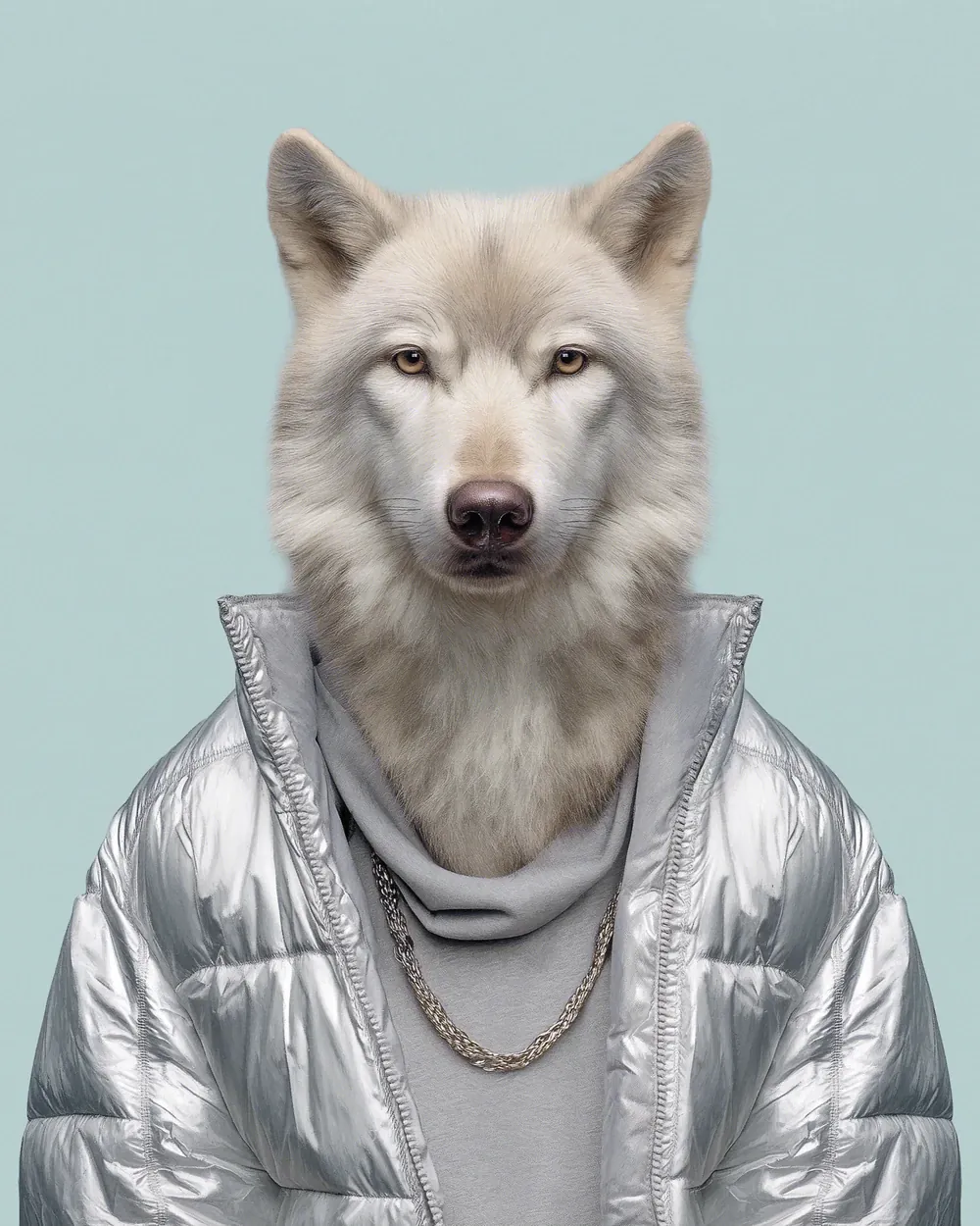 Benjamin · Arctic wolf