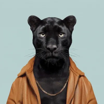 Cesar · Pantera negra