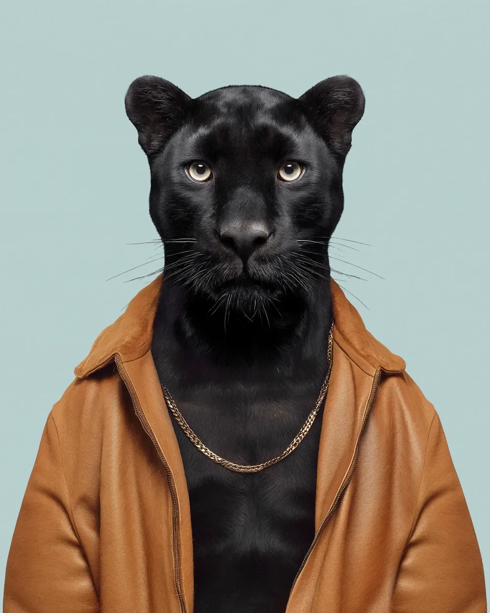 Cesar · Pantera negra