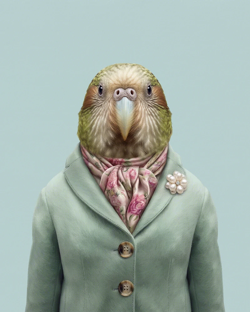 Portrait de face de Kiri, une kakapo d'âge mûr, en veste de tailleur vert sauge, un foulard à fleurs roses noué autour du cou et une broche de perles en forme de fleur sur le revers gauche, sur fond uni vert bleuté.