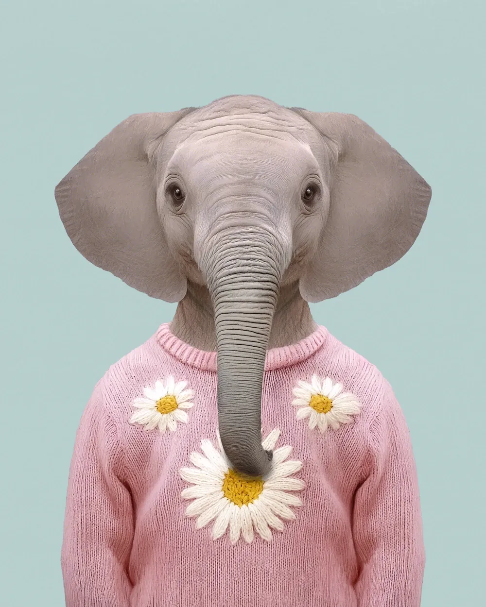 Mansa · African bush elephant