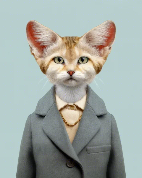 Tiziri · Sandkatze
