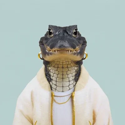 Yara · Caimán negro