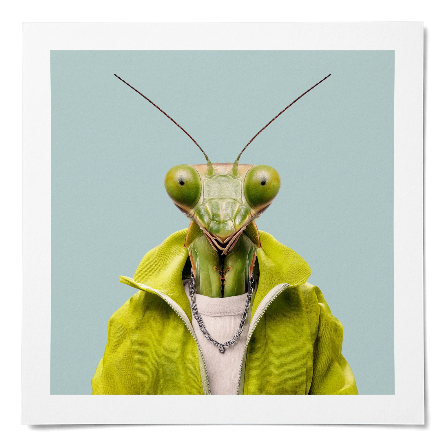 Bruno · póster mate · sin marco