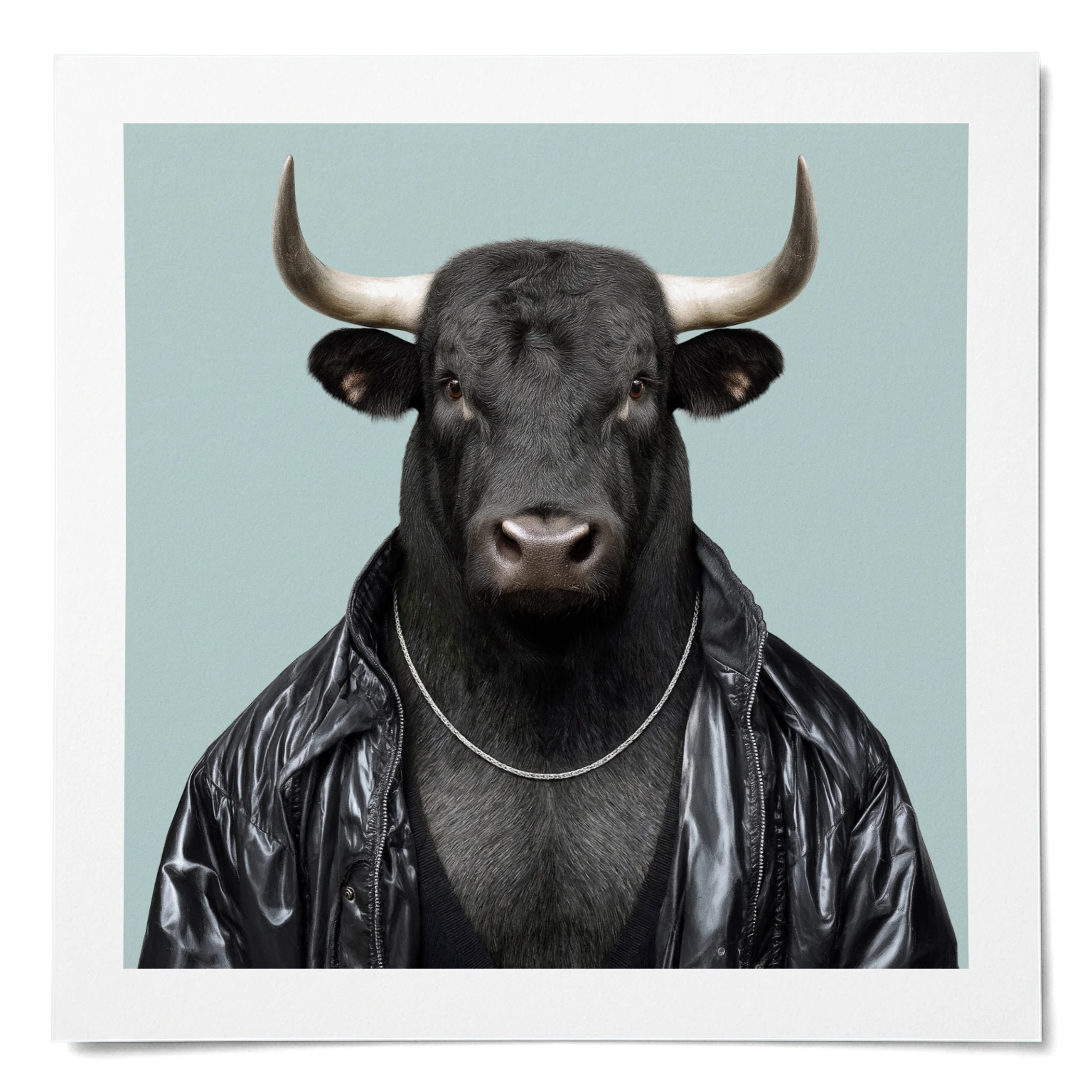 Fernando · matte poster · unframed