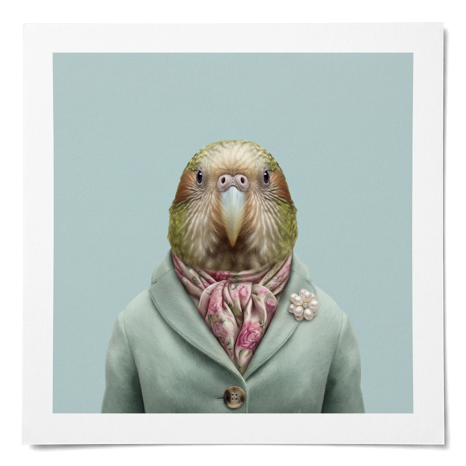 Kiri · Kakapo · Affiche mate