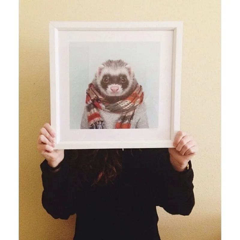 Zoo Portraits · archivo 32 de 170