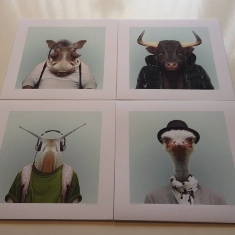Zoo Portraits · archivo 55 de 170
