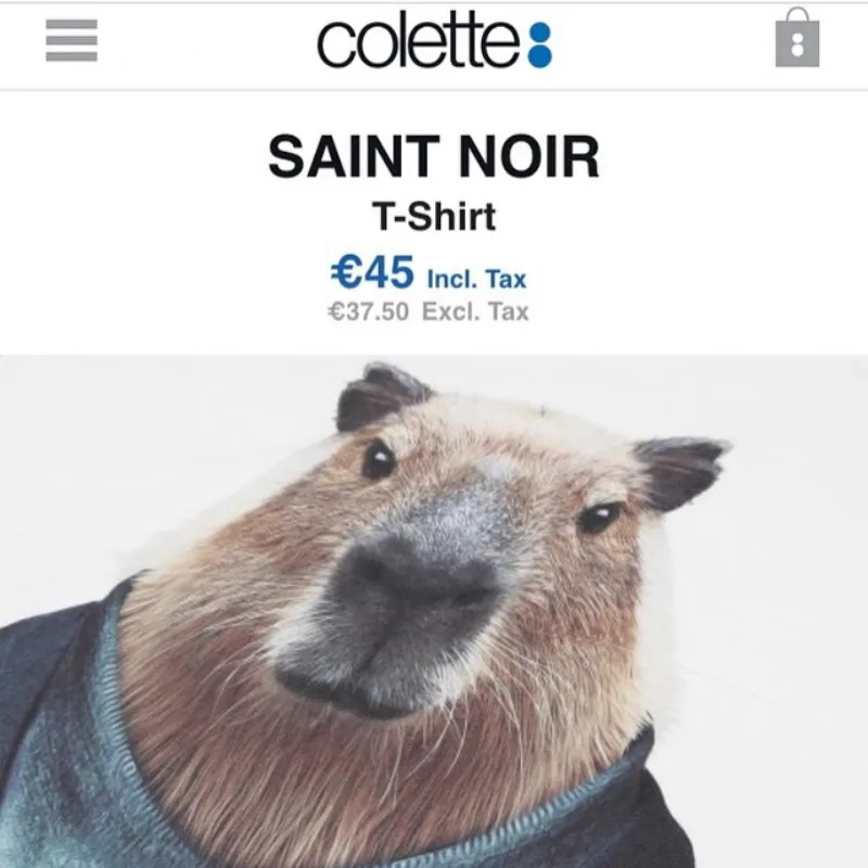 Zoo Portraits · archivo 62 de 170