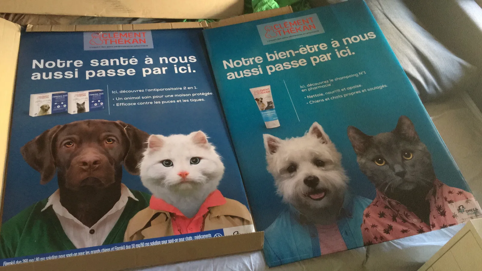 Clément Thékan · pósteres campaña veterinaria con perro y gato, westie y gato gris
